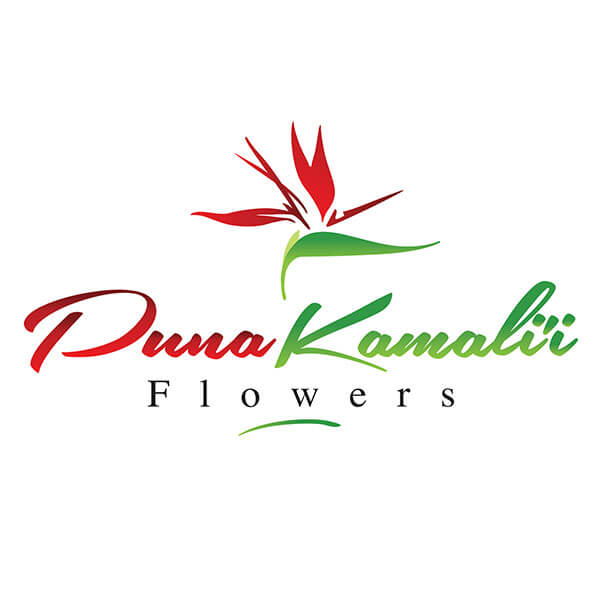 Puna Kamalii Flowers