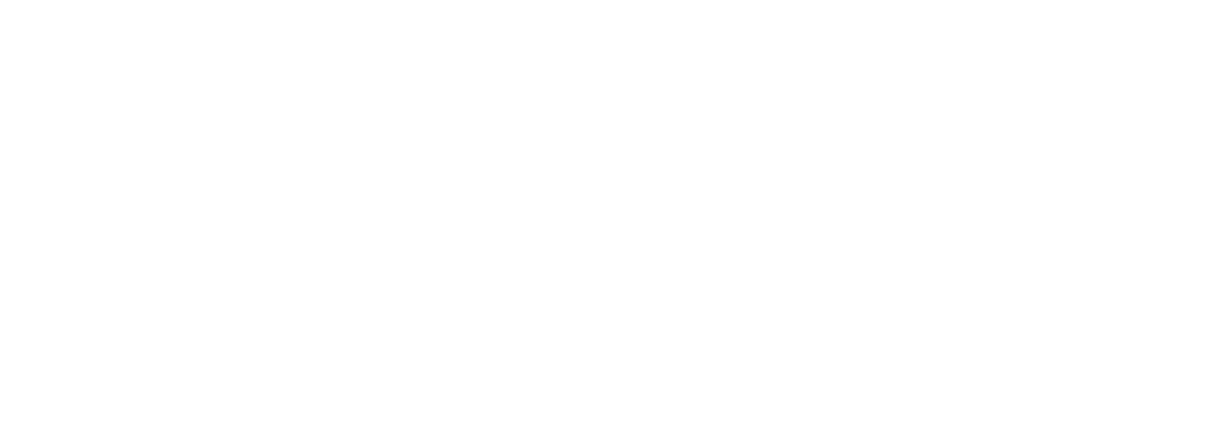 Digi-vortex_logo new